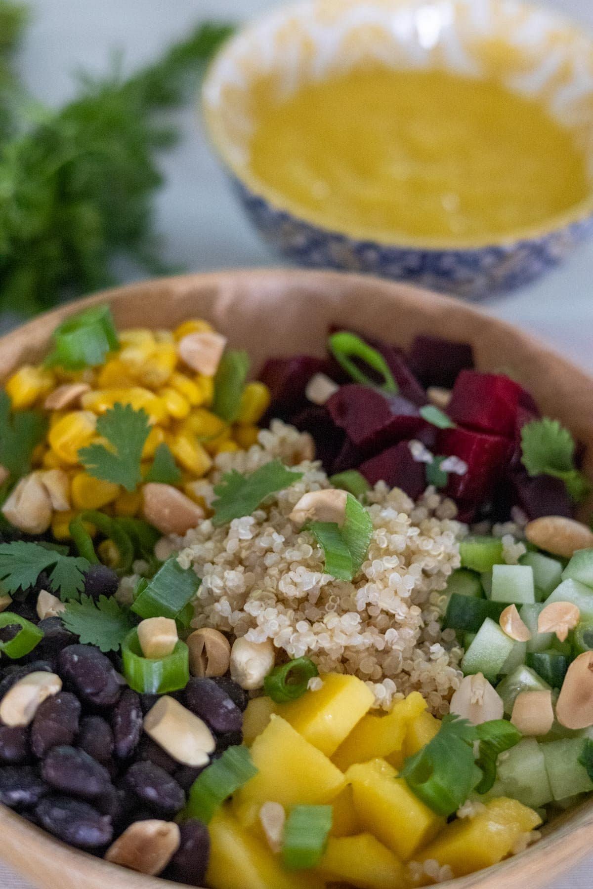 Cooked quinoa, diced cucumber, black beans, corn, cubed beets and cubed mango in a wooden bowl topped with peanuts, spring onion and cilantro. With mango sauce in a small bowl and fresh cilantro in the back.